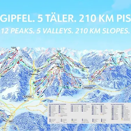 Weltcupblick פלאכאו